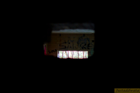 Enlarge photo 56