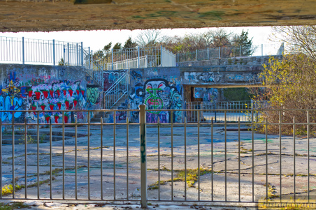 Enlarge photo 57
