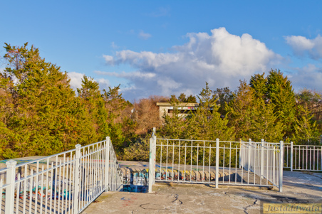 Enlarge photo 60