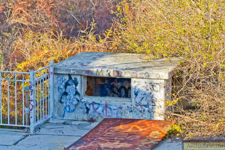 Enlarge photo 61
