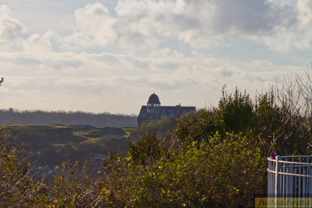 Enlarge photo 64