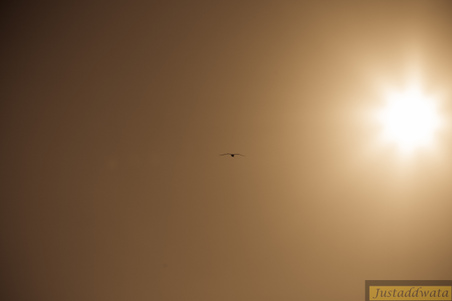 Enlarge photo 67