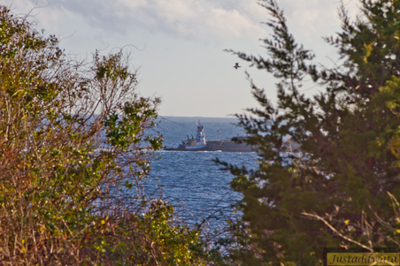 Enlarge photo 68