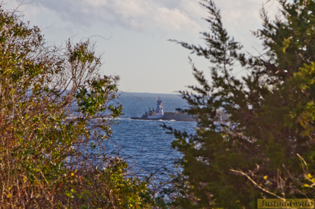 Enlarge photo 69