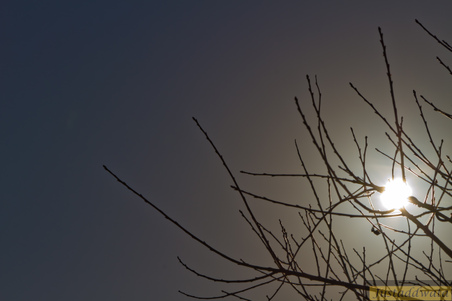 Enlarge photo 75