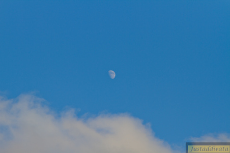 Enlarge photo 77
