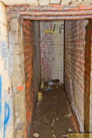 Enlarge photo 82
