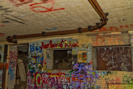 Enlarge photo 86