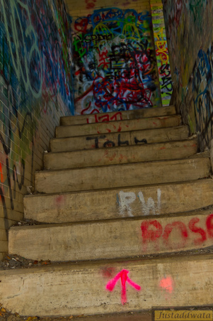 Enlarge photo 87