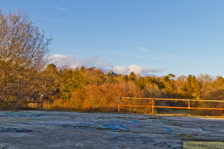 Enlarge photo 91