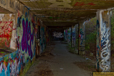 Enlarge photo 92