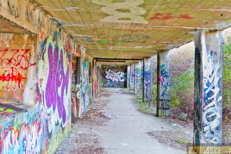 Enlarge photo 93