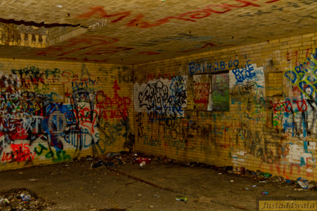 Enlarge photo 96