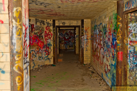 Enlarge photo 100