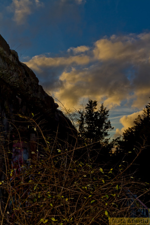 Enlarge photo 102