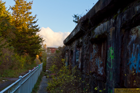 Enlarge photo 103