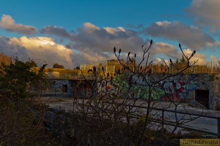 Enlarge photo 104