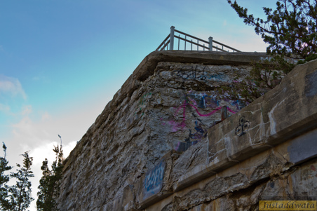 Enlarge photo 105