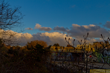 Enlarge photo 106
