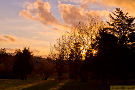 Enlarge photo 108