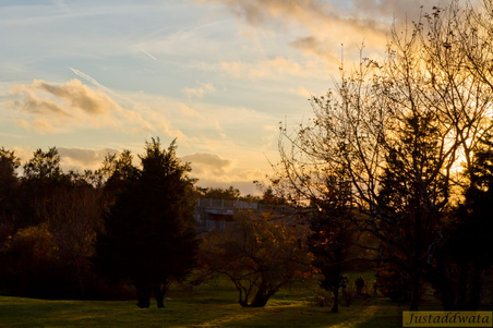 Enlarge photo 109