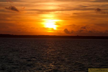 Enlarge photo 111