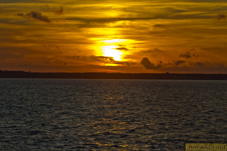 Enlarge photo 113