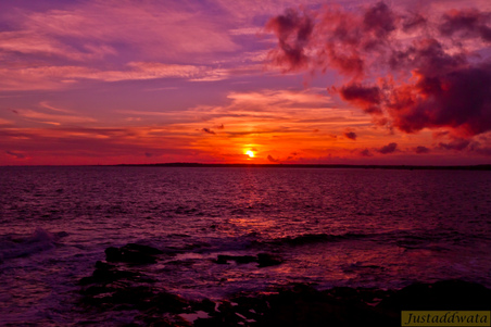 Enlarge photo 115