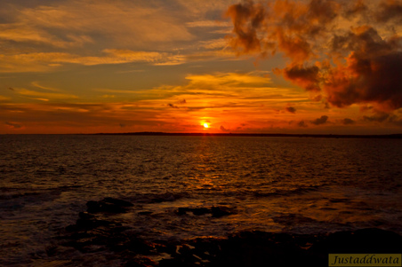 Enlarge photo 116