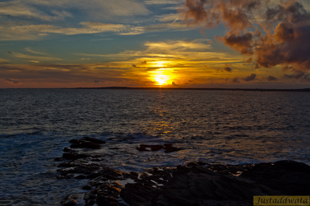 Enlarge photo 117