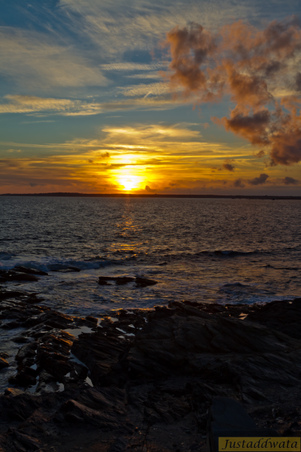 Enlarge photo 118