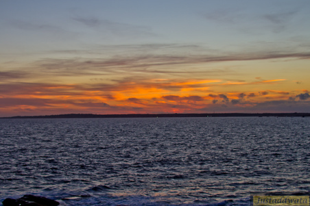Enlarge photo 130