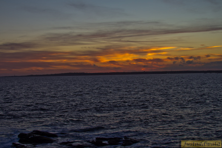 Enlarge photo 131