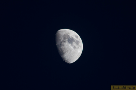 Enlarge photo 134