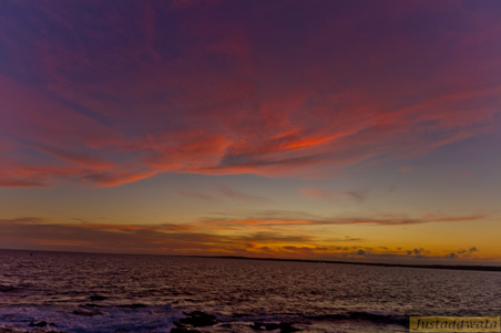 Enlarge photo 135