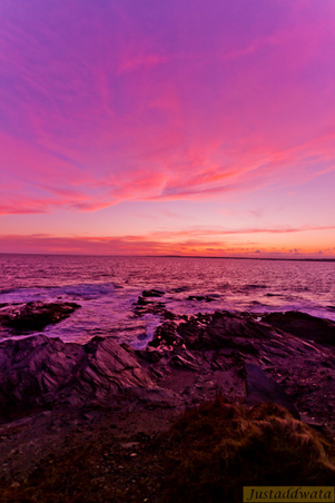 Enlarge photo 136