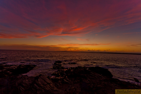Enlarge photo 139