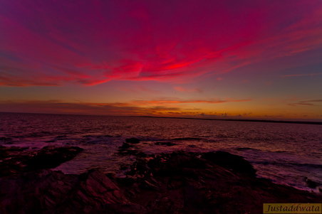 Enlarge photo 141