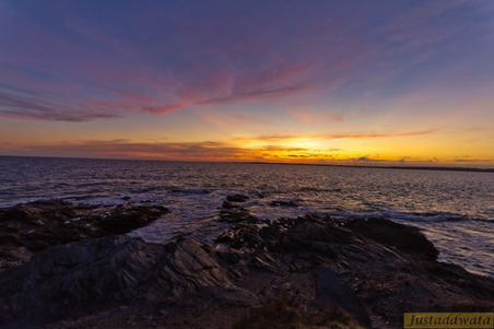Enlarge photo 151