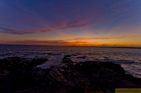 Enlarge photo 152