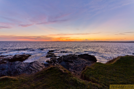 Enlarge photo 154