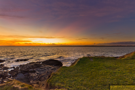 Enlarge photo 157