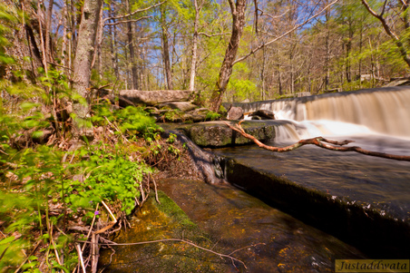 Enlarge photo 23