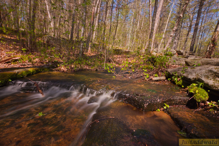 Enlarge photo 25