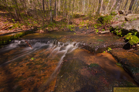 Enlarge photo 27