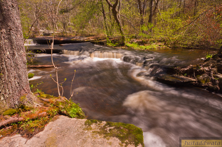 Enlarge photo 30