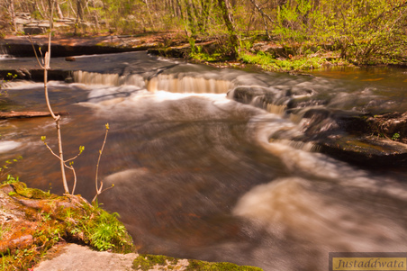 Enlarge photo 31