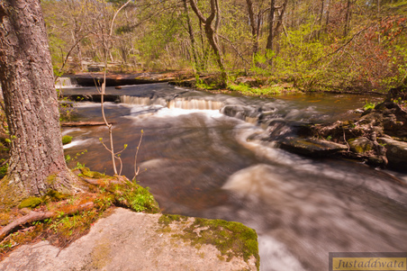 Enlarge photo 32
