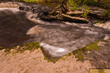 Enlarge photo 33