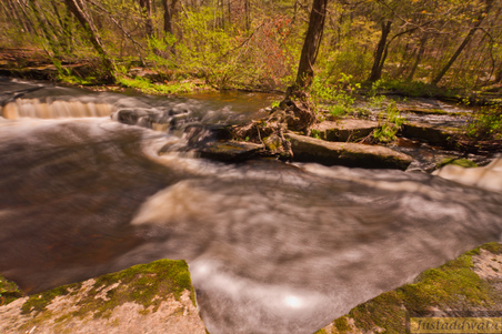 Enlarge photo 34